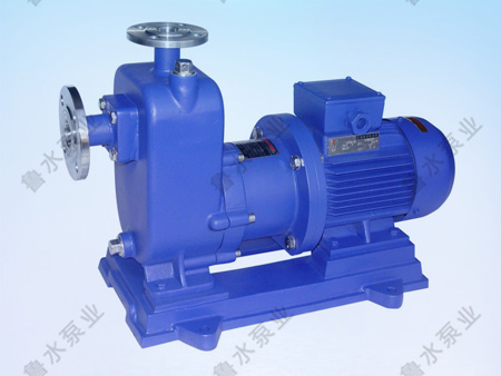 ZW自吸無(wú)堵塞排污(wu)泵