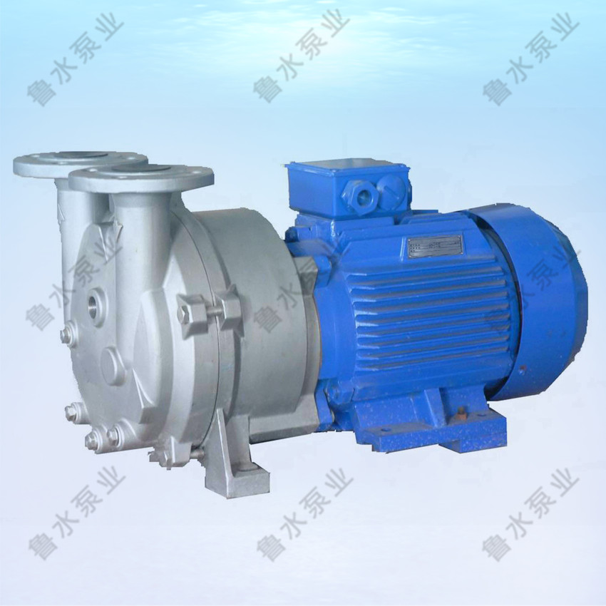 2BV水環式真(zhen)空泵