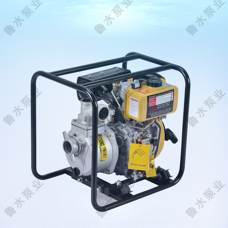 便攜式柴油(yóu)機泵